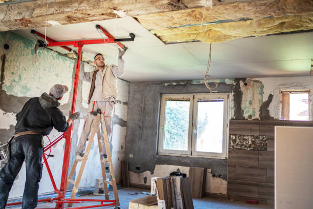 Best Cellulose Insulation in Berry Hill, TN